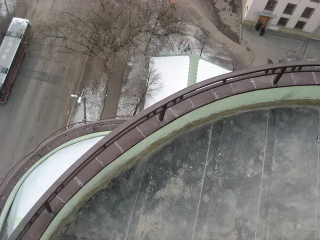 Зимние сады. Клементовский 2 — фотография 13
